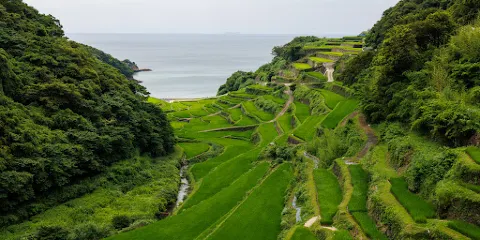 濱野浦梯田展望台