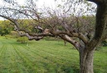 No Man’s Orchard景点图片