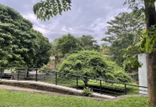 Pinnawala Zoo景点图片