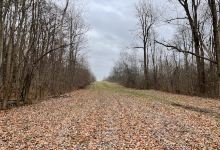 Beeman Creek Park景点图片