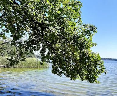 Wandlitz Strand Der 2 Stege