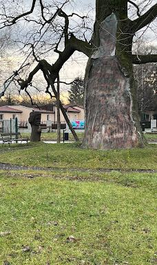 Dömsöd Strand-Kemping-德姆舍德