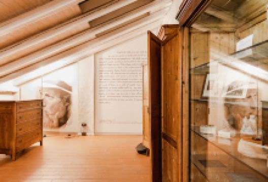 Museo Casa Frabboni景点图片