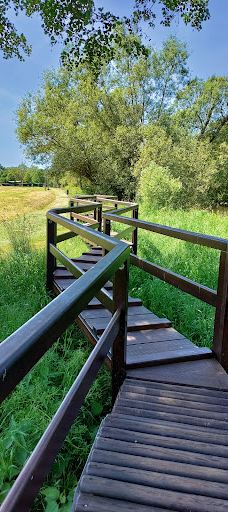 Barfusspfad Bad Sobernheim-索伯恩海姆