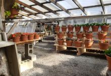 Russell's Garden Center购物图片