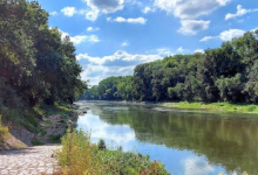 La Douceur Angevine - Visites Guidées à Béhuard景点图片