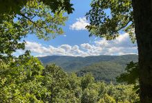 Tanbark Loop Trailhead景点图片