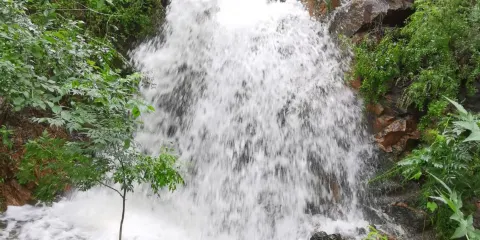 十八盤山國家森林公園