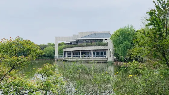 羅涇公園