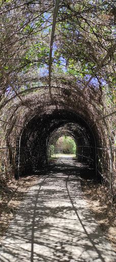 Majrase Nature Reserve-Emek HaYarden