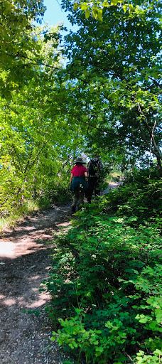 Chase Creek Falls-汤普森-尼古拉