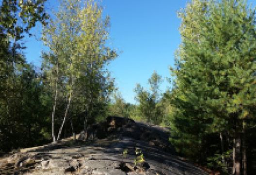 Twin Tamarack Family Camping景点图片