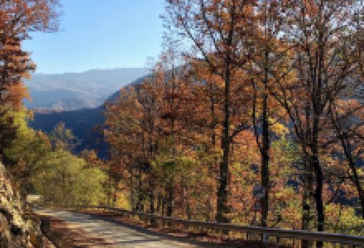 Camping Adrian Accommodation Jina Transalpina景点图片