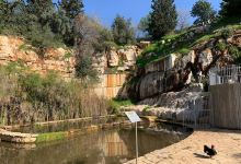 Galilee Park景点图片