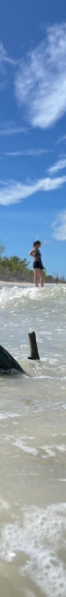 Tigertail Beach-马可岛