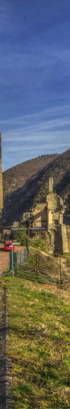 Metternich Castle-拜尔施泰因