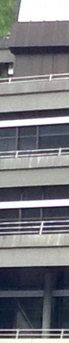 巴特维尔德巴特