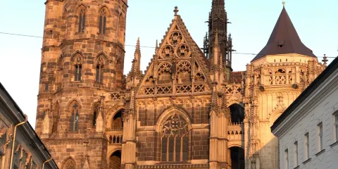 聖伊麗莎白主教座堂