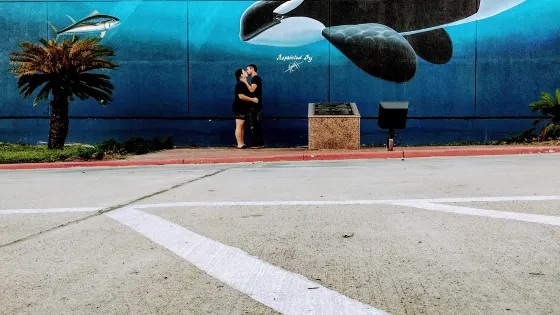 Whaling Wall
