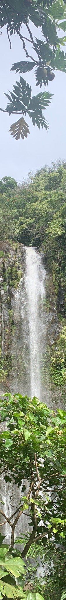 皮皮崴小径-茂宜县