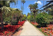San Anton Gardens景点图片