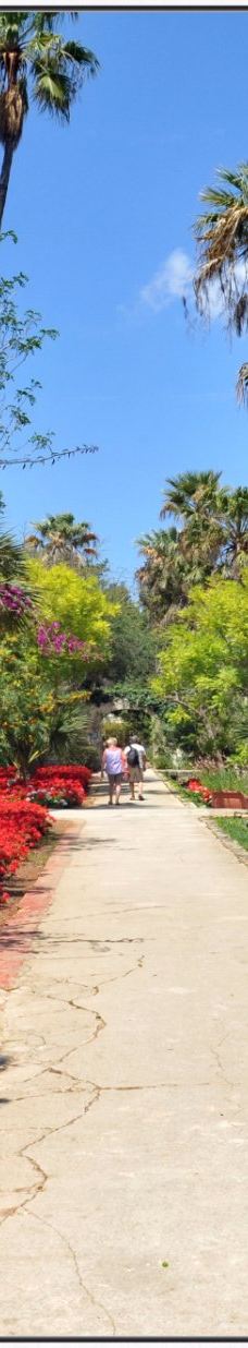 San Anton Gardens-阿塔尔德