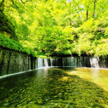 日本东京+奥多摩町+秩父市+轻井泽町6日5晚拼小团