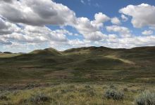 Dry Creek Petrified Forest景点图片