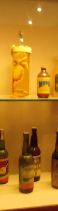 东北部人类博物馆-累西腓