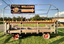 Meadeville Farm Pumpkin Patch景点图片