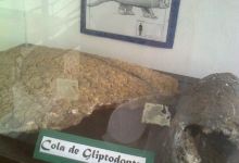 Museo Arqueologico y Paleontologico景点图片