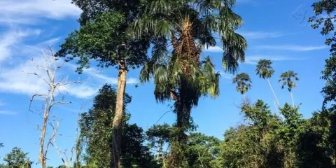 Balikpapan Botanical Garden