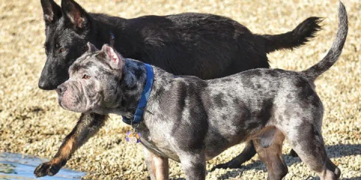 Walnut Woods Metro Park