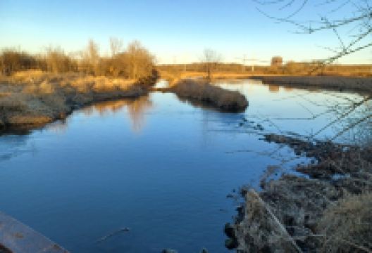 Hidden Lake Forest Preserve景点图片