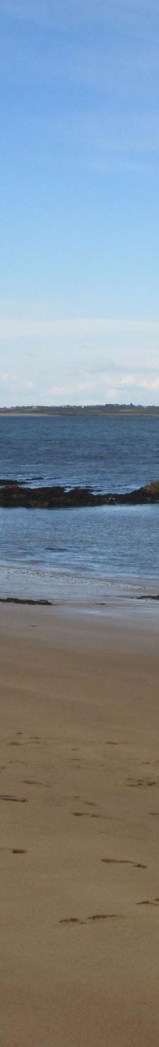 Baginbun Beach-韦斯福德