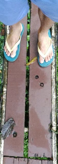 Mulu Skywalk-马鲁迪