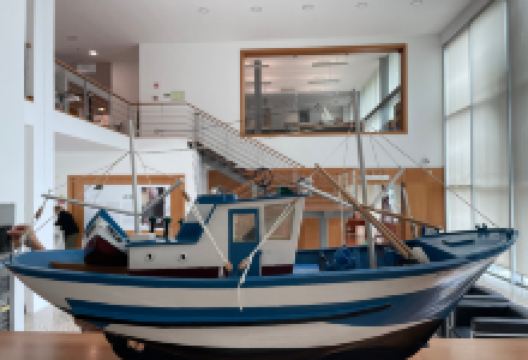 Museu Dr. Joaquim Manso景点图片