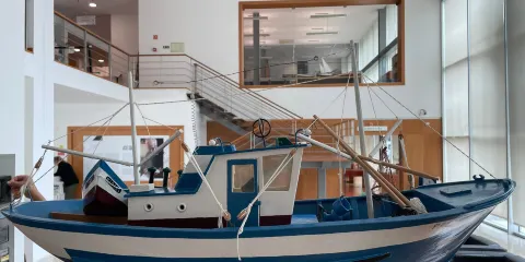 Museu Dr. Joaquim Manso