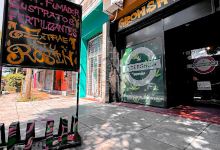 Undergrow Growshop购物图片