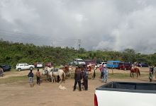 Parada de Caballos y Autos El Chivon景点图片