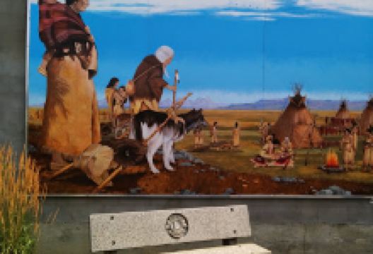 Ringrose Park景点图片