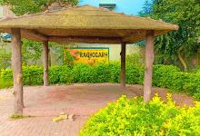 Papa's Park景点图片