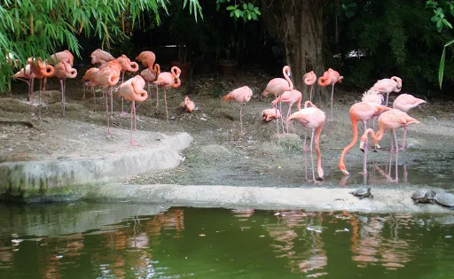 巴瓦羅馬納提公園
