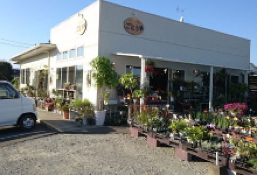 Green Plaza Goto购物图片