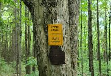 Triangle State Forest景点图片