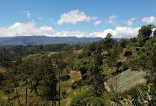 La pita jarabacoa景点图片