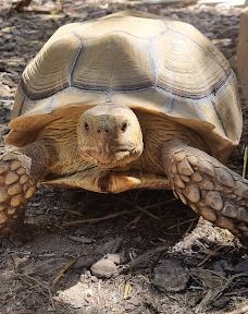 Butterfly Park Empuriabrava-Alt Emporda