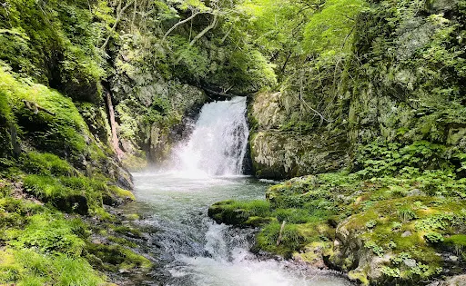 盛岡市外山森林公園
