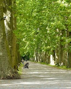 Neckarinsel-蒂宾根