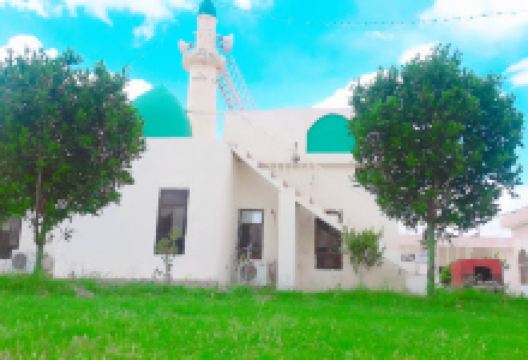 Zubair bin Awam Mosque景点图片